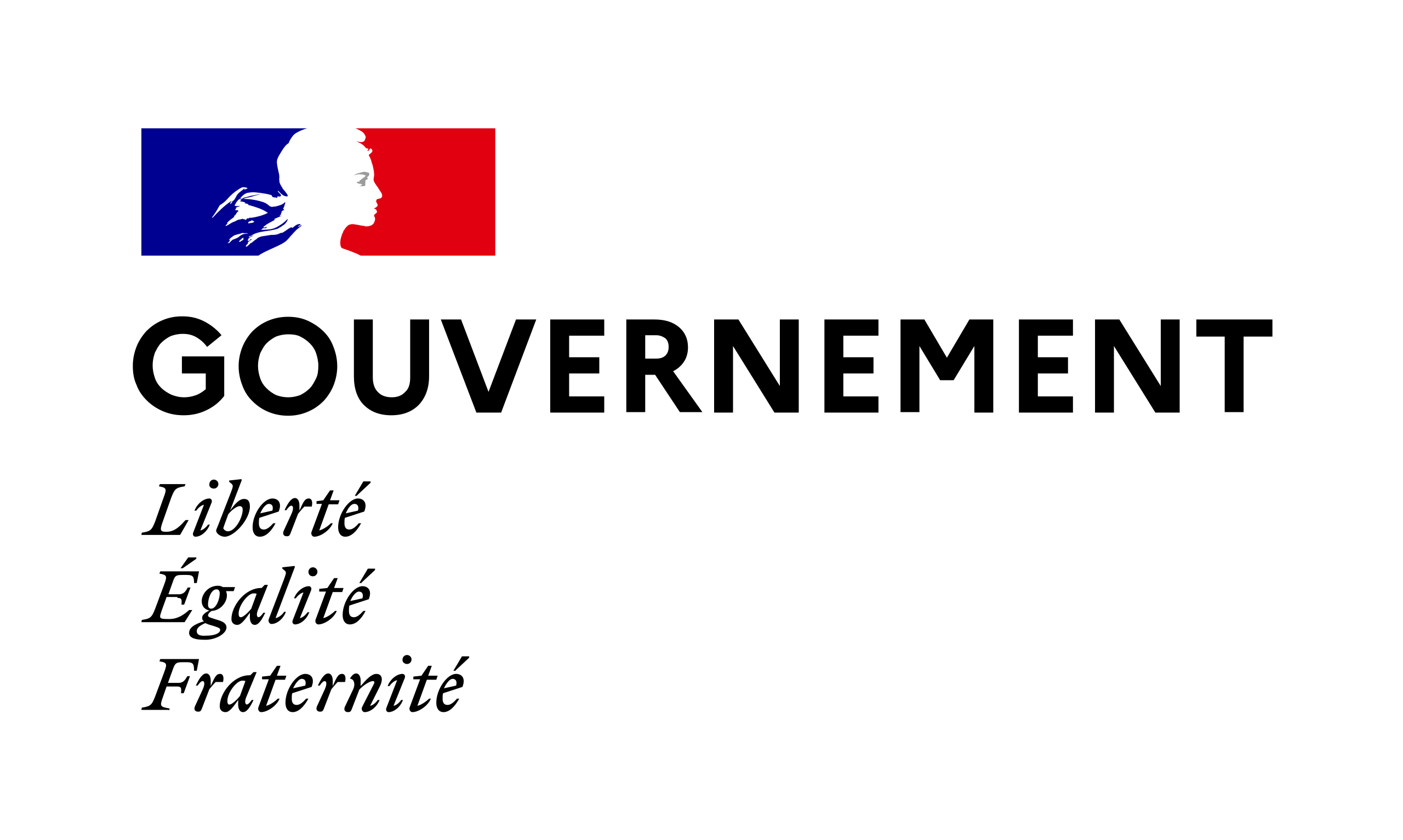 www.gouvernement.fr